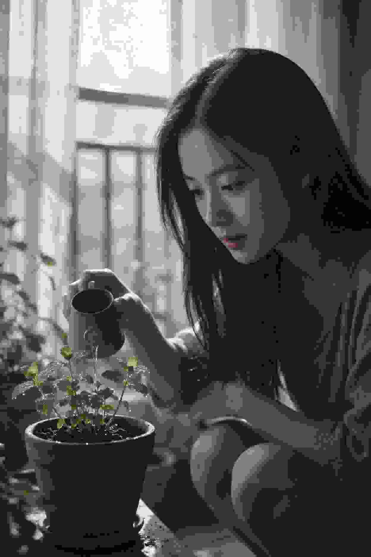 婚姻冒险